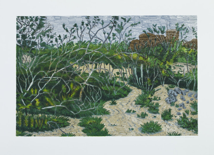 Untitled 02 from Mato, Onda e Abstrato (Forest, Wave and Abstract)