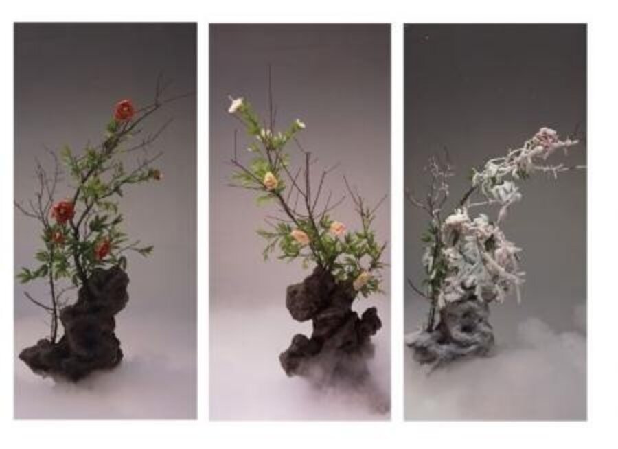 Red Peony, White Peony and Frosted Peony