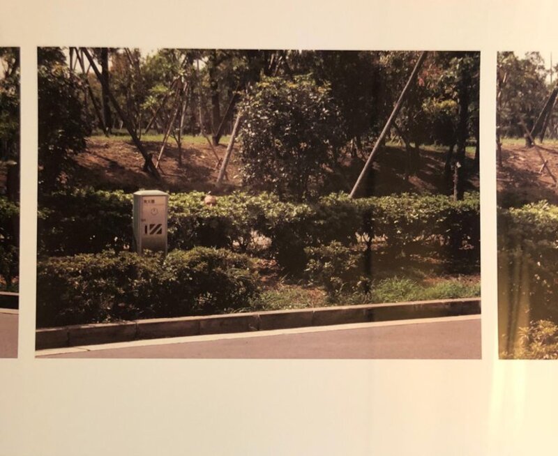 Skip Arnold, ‘Vintage Color Photograph 'Hiding, Tokyo, Japan' 4 Photo Quadriptych Signed Ed.6’, 1990-1999, Photography, Photographic Paper, C Print, Lions Gallery