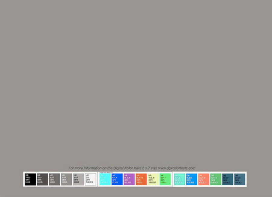Inverted Calibration Flag 6 (Digital Kolor Kard 5 x 7)