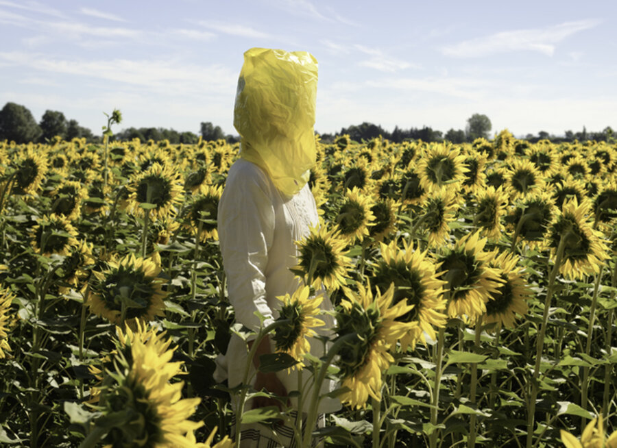 Portrait Series (Gelbe Musik with Sunflowers)