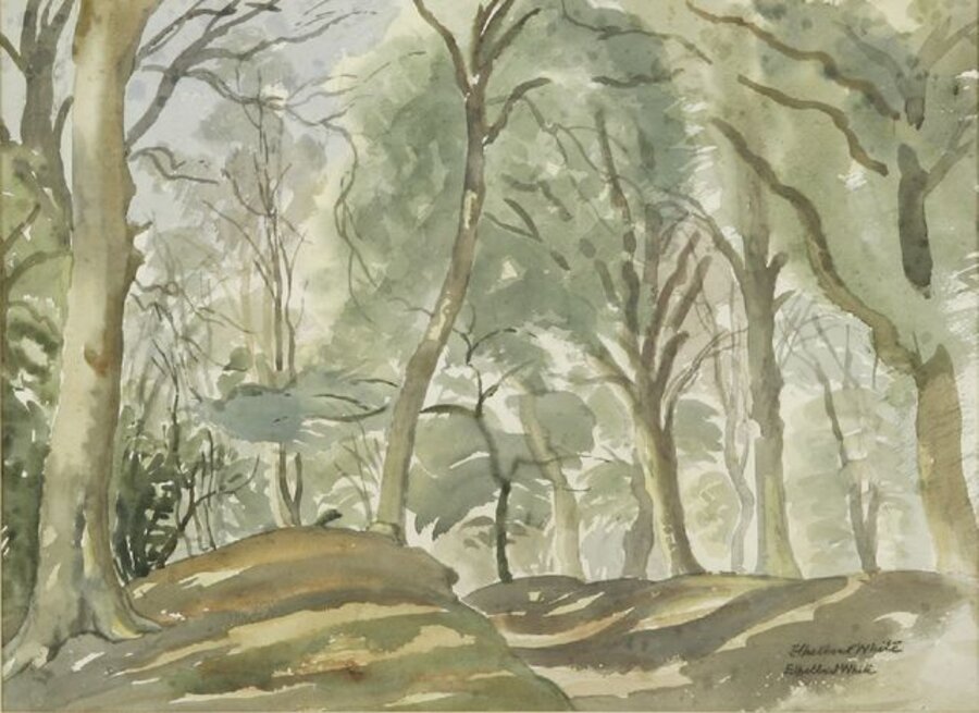 'WOODLAND PATH'