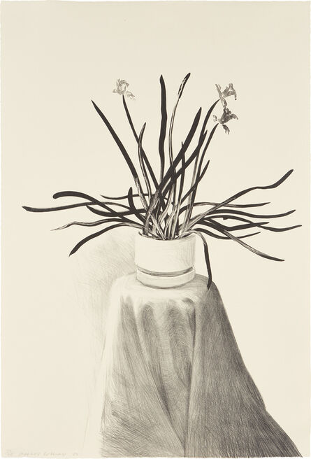 David Hockney, ‘Potted Daffodils’, 1980