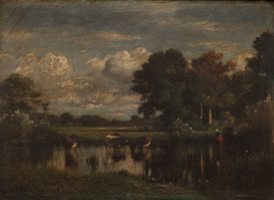 Cows Watering