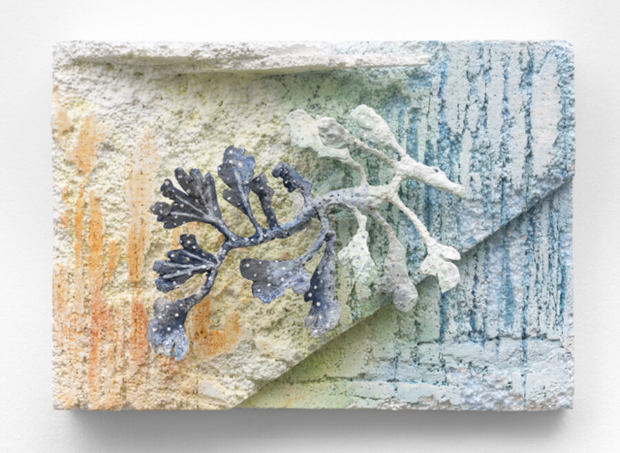 Teneen Albaher Relief III / Sea Dragon Relief III