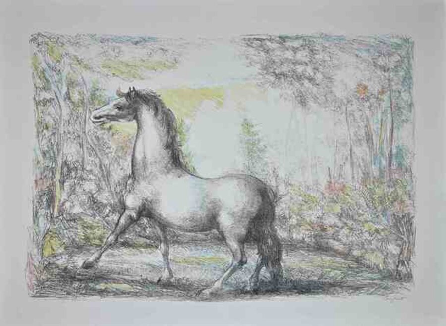 Horse