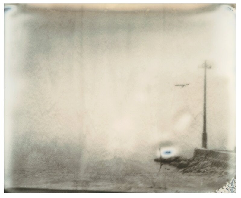 Stefanie Schneider, ‘Salton Sea Pelican’, 2016, Photography, Digital C-Print based on a Polaroid, Instantdreams