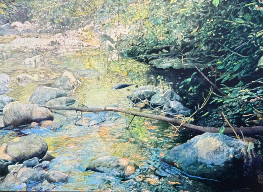 Shaded Creek