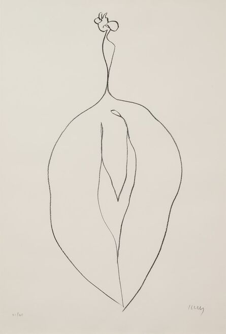 Ellsworth Kelly, ‘Seaweed (Algue) from Suite of Plant Lithographs, 1965-66’