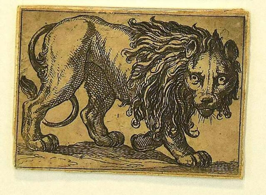 The Lion