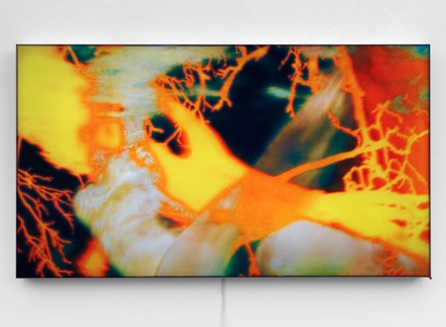 Untitled 3