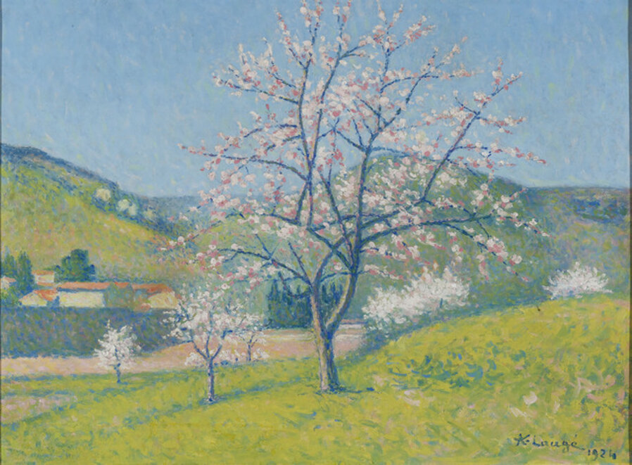 Arbres en Fleur à Alet-les-Bains