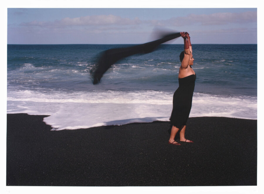 Flight, from the Seeking Refuge series