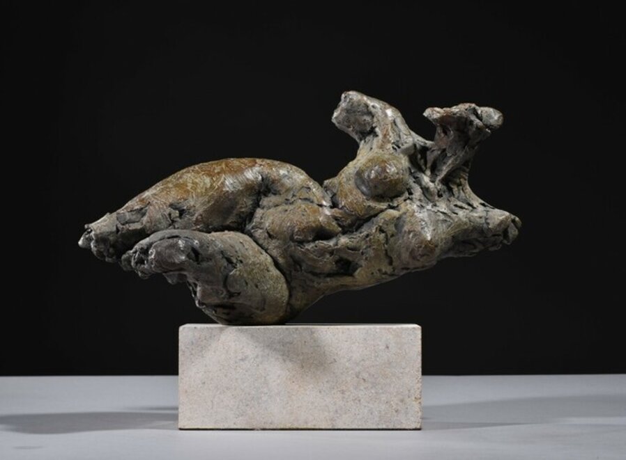 Nude Emergence Torso