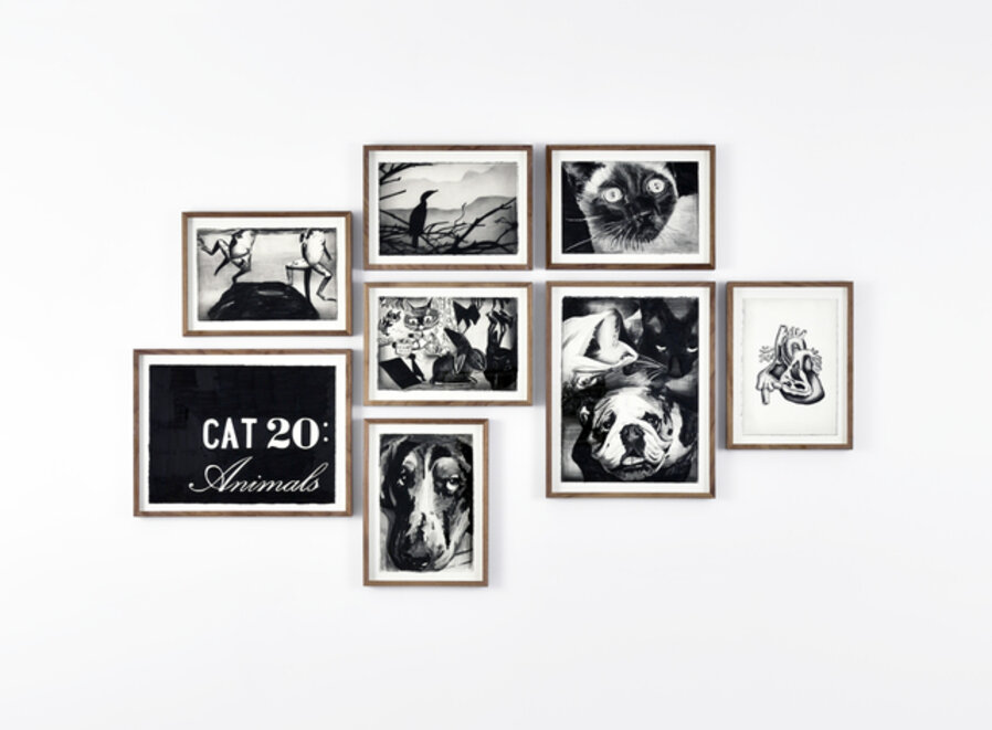 (CAT 20 : Animals)