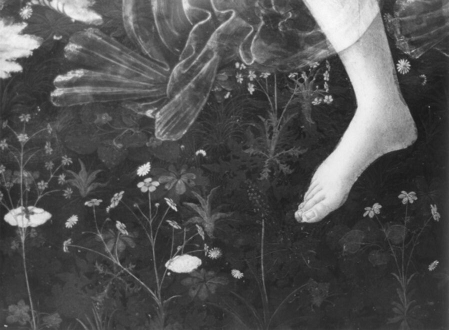 Untitled (Botticelli IV)