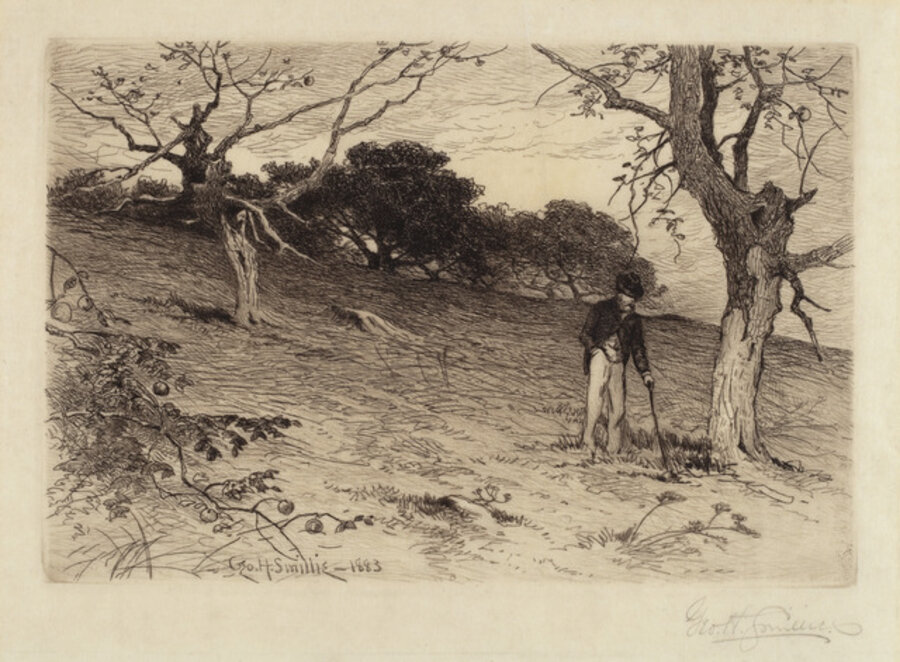 Old New England Orchard