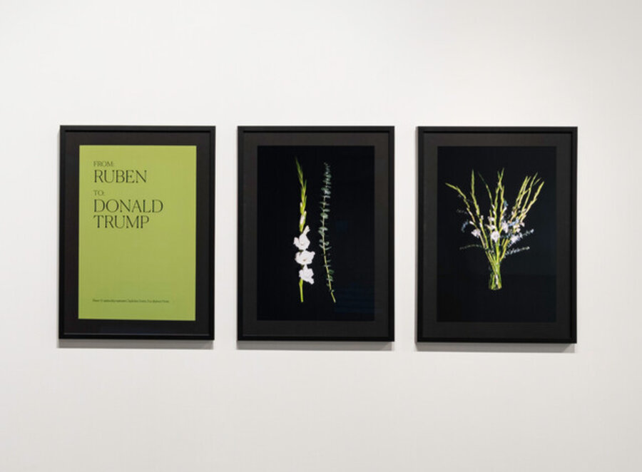 Flowers For Immigration, Rueben