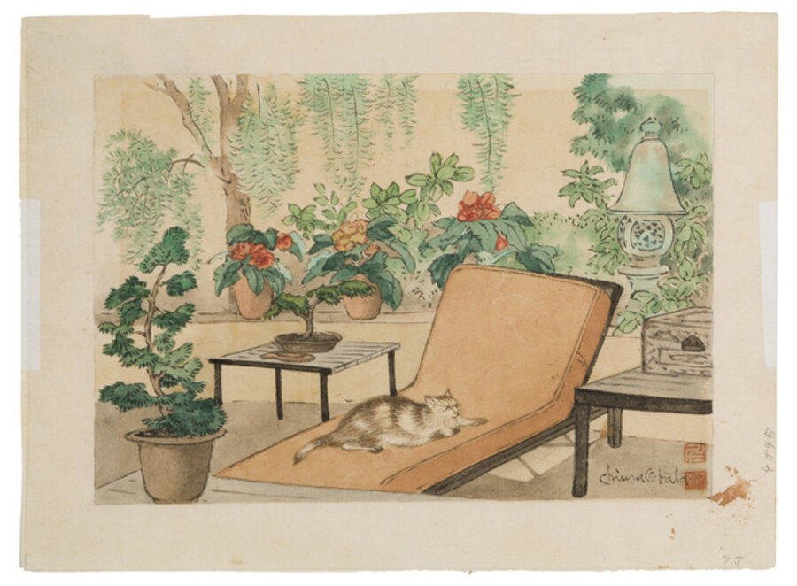Cat lounging in garden