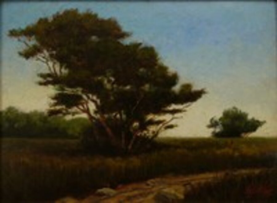 Trees in a Field
