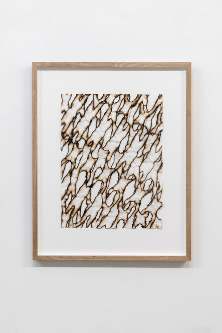Ariel Schlesinger, ‘Untitled (Burnt Paper) 017’, 2019
