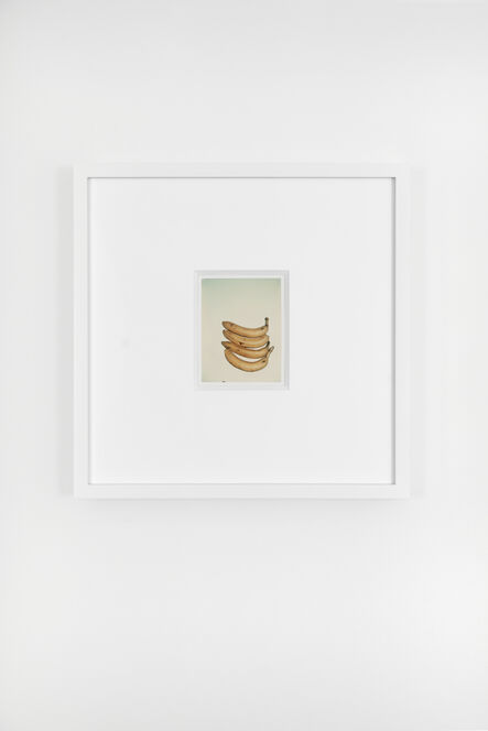 Andy Warhol, ‘Bananas’, 1978