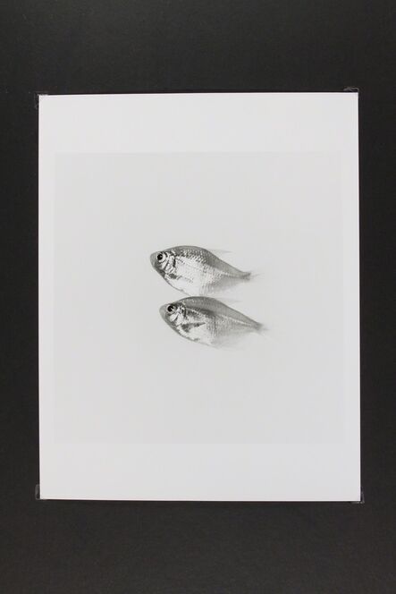 Phil-Hee Kong, ‘Gold Fish’, 2014