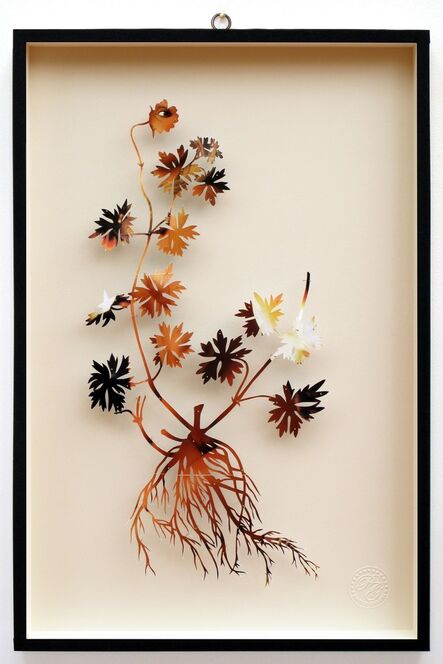 Paolo Giardi, ‘You Can Learn a Lot of Things From the Flowers - Plant LXII’, 2014
