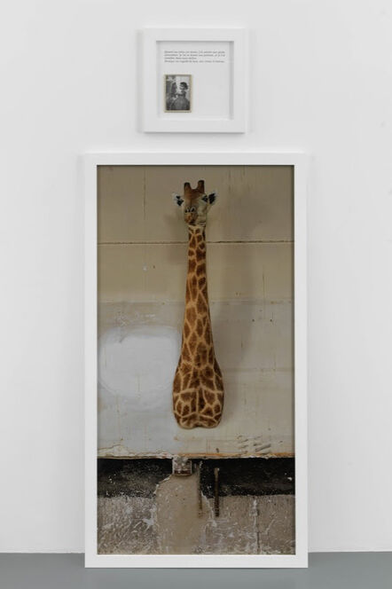 Sophie Calle, ‘La Girafe / The Giraffe’, 2012