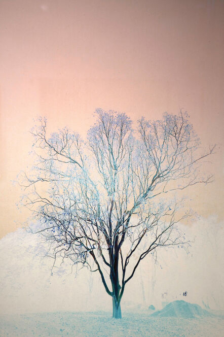 Itamar Freed, ‘Gradient Tree’, 2022