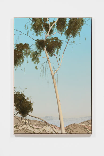 Jake Longstreth, ‘Untitled (Eucalyptus) ’, 2022