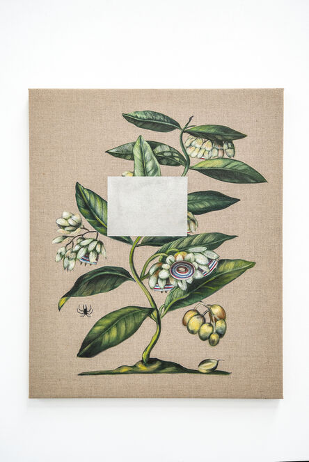 Gabriela Bettini, ‘Passiflora’, 2022