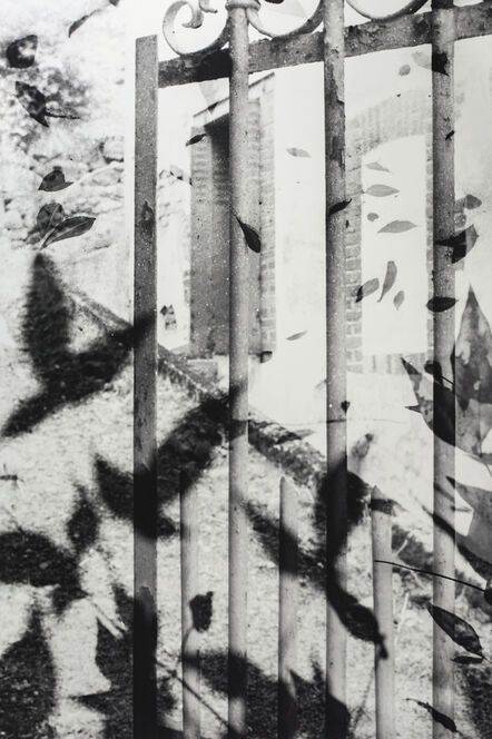 Muriel Hasbun, ‘¿Sólo una sombra?/ Only a Shadow? (The Gate III)’, 1995