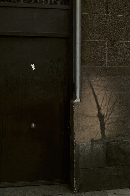 Boris Savelev, ‘tree shadow, Madrid’, 2012