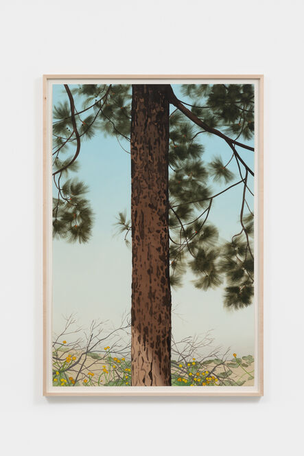 Jake Longstreth, ‘Untitled (Big Pine 3)’, 2022