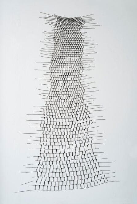 Emily Payne, ‘Wire Shroud’, 2016