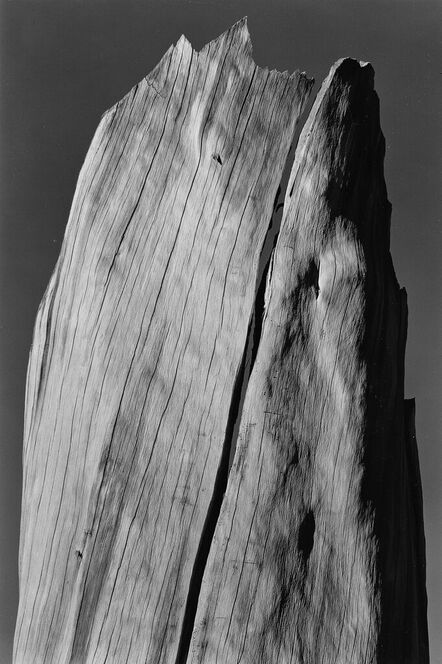 Ansel Adams, ‘White Stump, Sierra Nevada, CA’, 1935