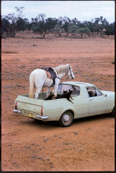 Elliott Erwitt, ‘Australia’, 1972