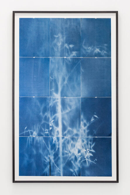 Eric William Carroll, ‘Weeping Willow, 05/09/22’, 2022