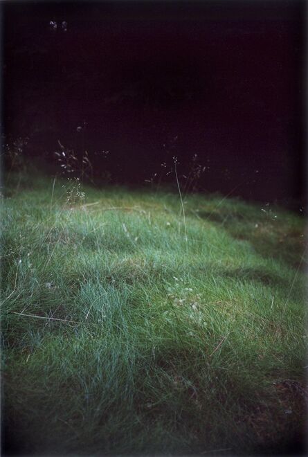 Jitka Hanzlová, ‘Forest #6, Untitled (Singing Grass)’, 2004