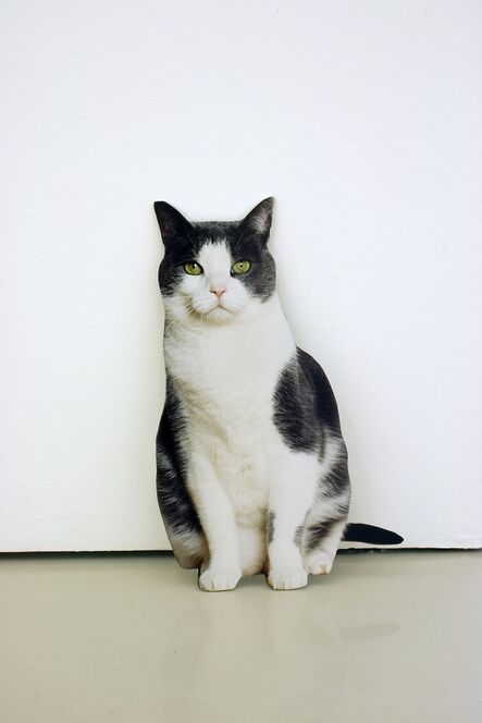 Matt Keegan, ‘Domestic Cat’, 2009