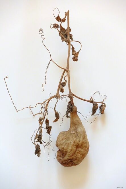 James Pitts, ‘Dried Gourd’, 2018