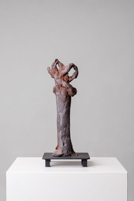 Simone Fattal, ‘Tree’, 2012
