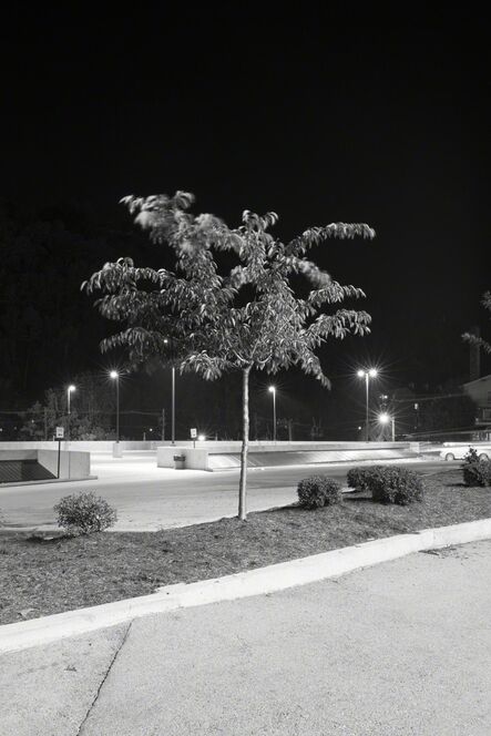 Adam Neese, ‘Four Well Lit Trees in Texas and One in Tennessee 5’, 2015