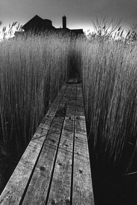 Jeanloup Sieff, ‘La maison noire, East Hampton, New York’, 1964