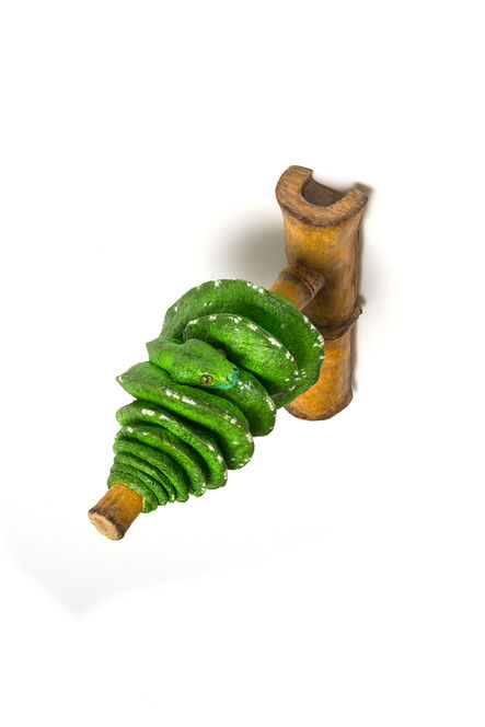 Chris Mason, ‘Hijau Cerah the key lime tree python is livery green in Indonesia ’, 2020