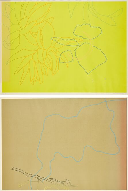 Derrick Greaves, ‘Flower Pieces (two works)’, 1970