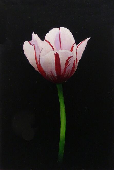 Michael Gregory, ‘Red and White Tulip’, 2017