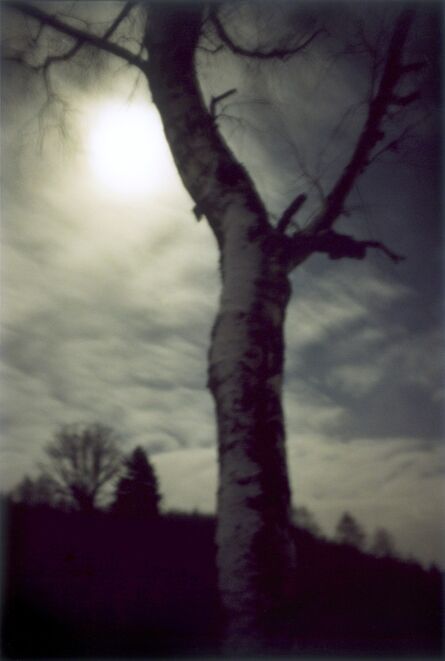 Jitka Hanzlová, ‘Forest #1, Untitled (Moon Shine)’, 2000