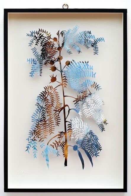 Paolo Giardi, ‘You Can Learn a Lot of Things From the Flowers - Plant CXXIX - Mimosa - Lui - Maysa’, 2014